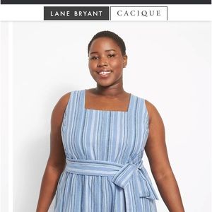 Lane Bryant Jumper (28w)